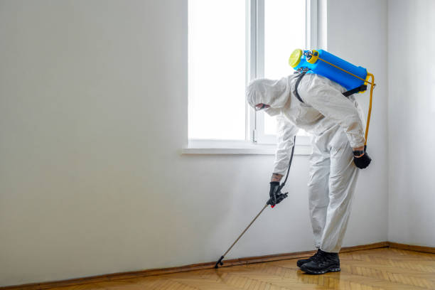 Best Residential Pest Control  in Bayou Lourse, LA